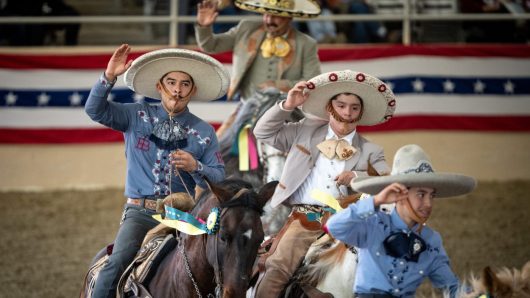 Pre-Rose Parade showcase gives equestrians center stage