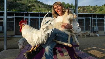 Love Always Sanctuary is home to more than 105 rescued farm animals