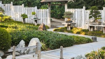 Column: Love at The Huntington is beyond romantic, take a tour and see