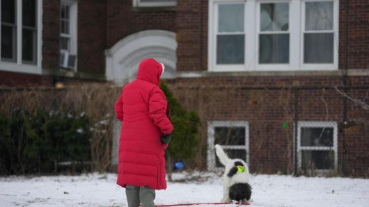 How extreme cold is affecting Americans’ lives, according to a new poll