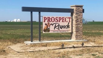 Government fines businesses over 6 deaths at Colorado dairy