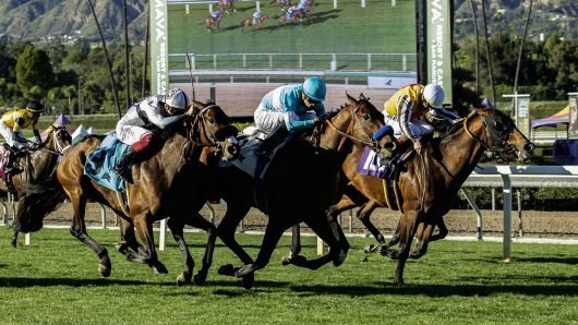 Greenwich Village wins by nose at Santa Anita