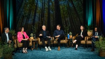 How California governor candidates say they will tackle environmental issues