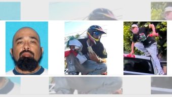 Guilty plea for throwing rocks at federal officer during Paramount immigration raid