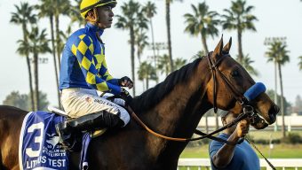 Horse racing column: As Kentucky Derby preps intensify, here are 20 horses at follow