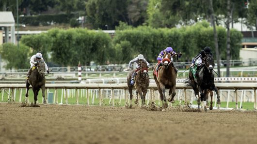 Cal-bred Man O Rose wins again at Santa Anita