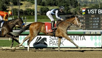 Santa Anita win by Meaning caps super Sunday for Michael McCarthy