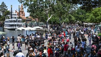 Niles: Can Disneyland find space for new fans?
