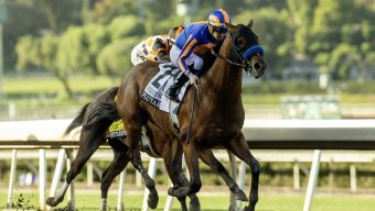 Bob Baffert’s Plutarch wins at Santa Anita, jumps into Kentucky Derby picture