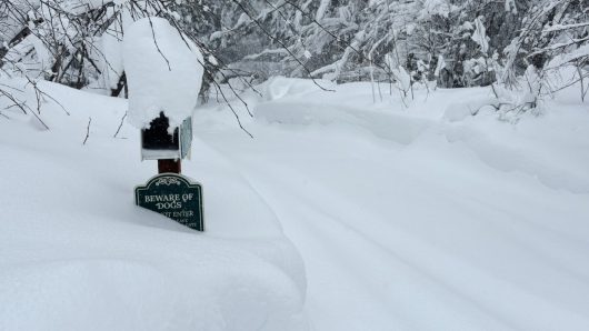 Guide company leading group caught in deadly avalanche warned of snow conditions days before incident