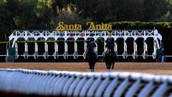 Santa Anita consensus picks for Sunday, February 1, 2026