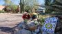 Volunteers scour the desert for Nancy Guthrie despite authorities urging them to stop