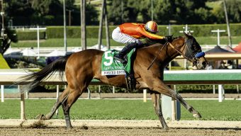 Forced Entry first, Super Corredora last at Santa Anita