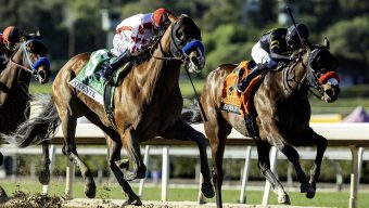 Potente wins San Felipe Stakes thriller for Bob Baffert