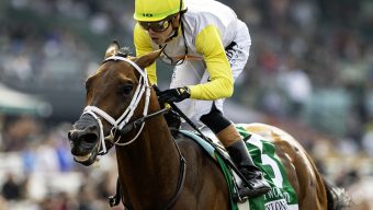 Skippylongstocking heads Santa Anita Handicap field of 7