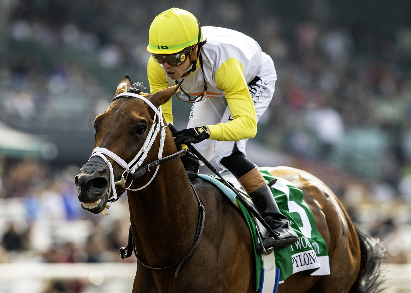 Skippylongstocking heads Santa Anita Handicap field of 7