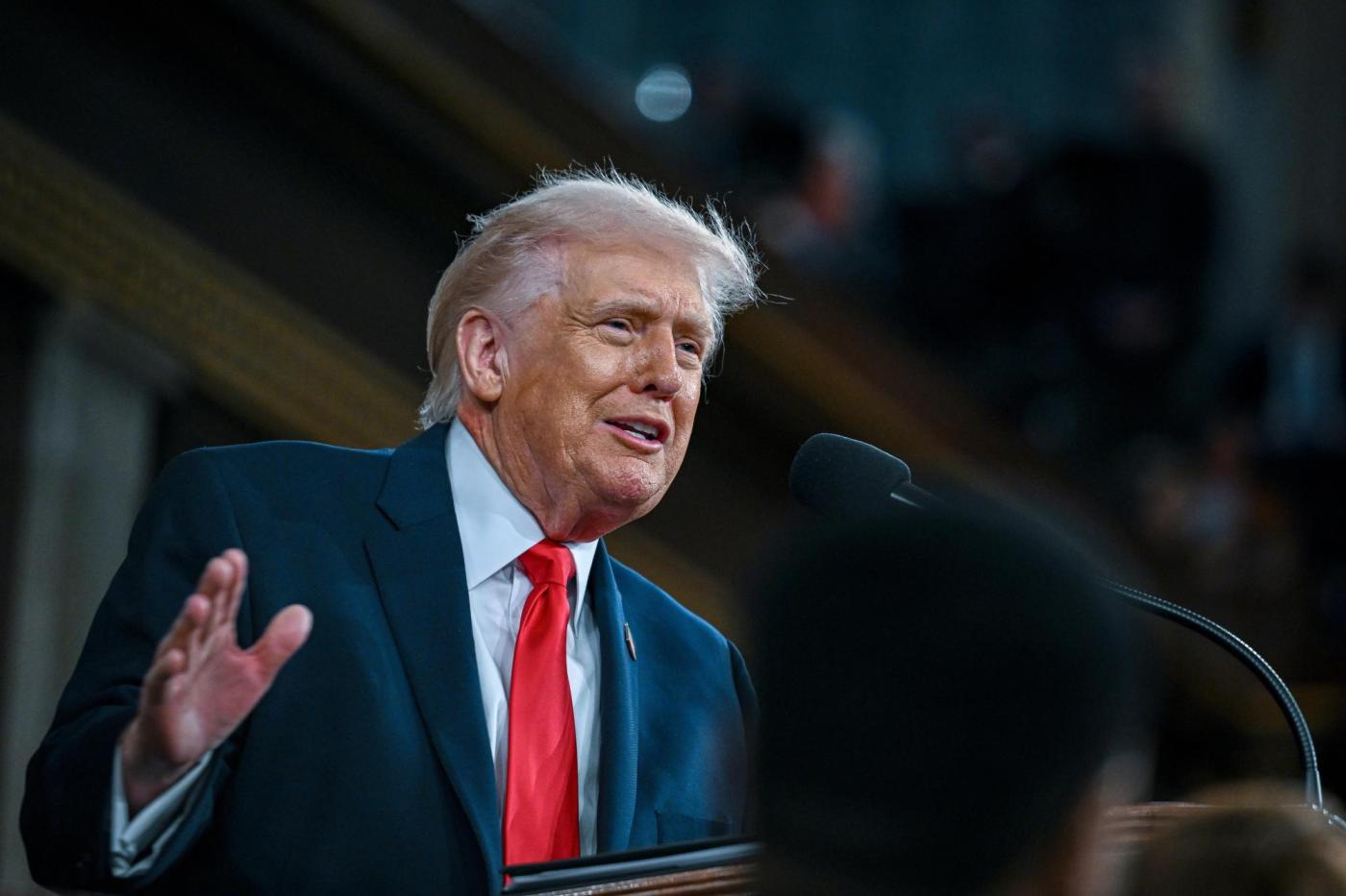 David Hadley: Trump 2.0 one year in – advice from a supporter