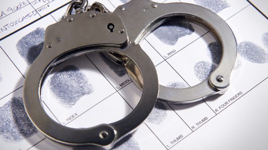 Hacienda Heights man charged with running illegal dog fights