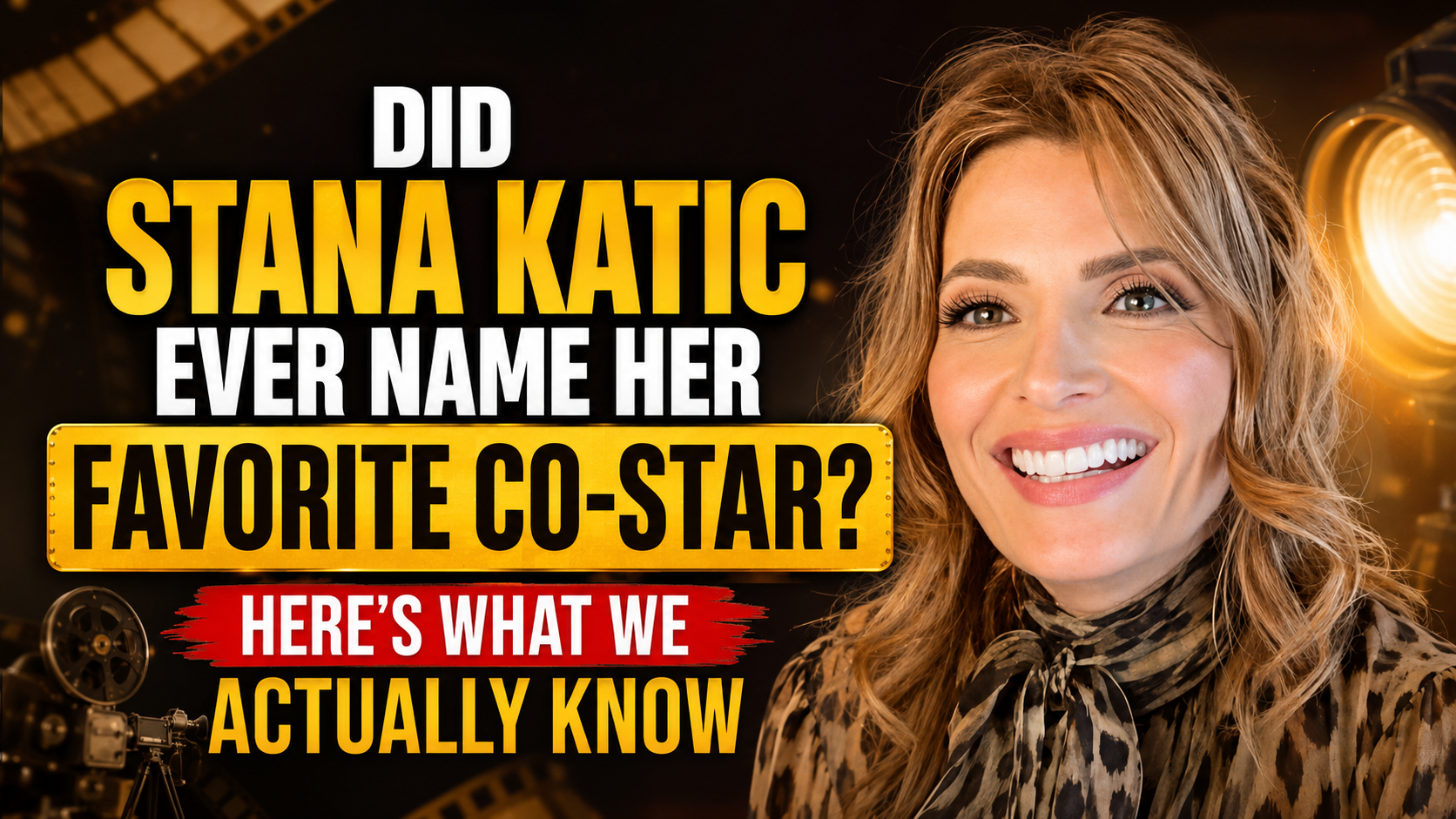 Did Stana Katic Ever Name Her Favorite Co-Star? Here’s What We Actually Know